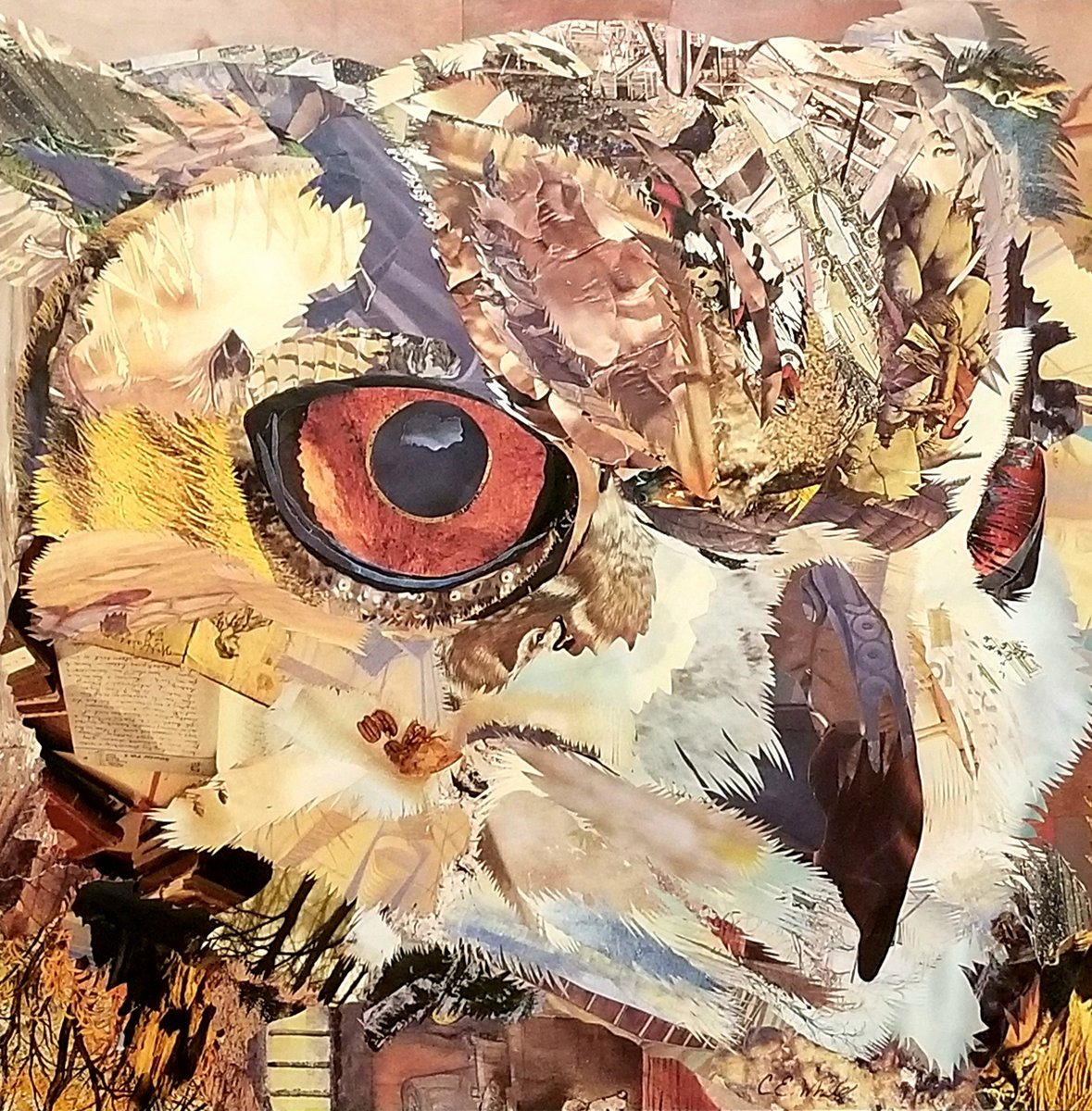 cewhiteart's tweet photo. Whooo whooo doesn't love an owl?? #owls #owlart #owlcollage #collageart #paperpaintings #paperart #wildlifeart #greathornedowl #owldecor #art #greathornedowlart #collage #paperpainting #owlcloseup #owlwallart #wallart #wallartdecor #wildlife #wildlifedecor #cewhiteart https://t.co/Eycdacuk8r