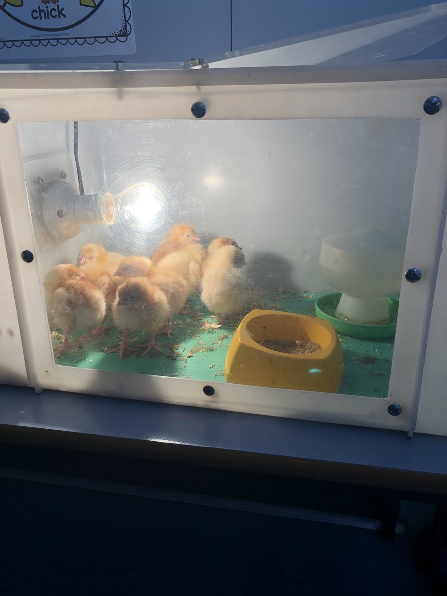 Stephanie Beckers tweet media