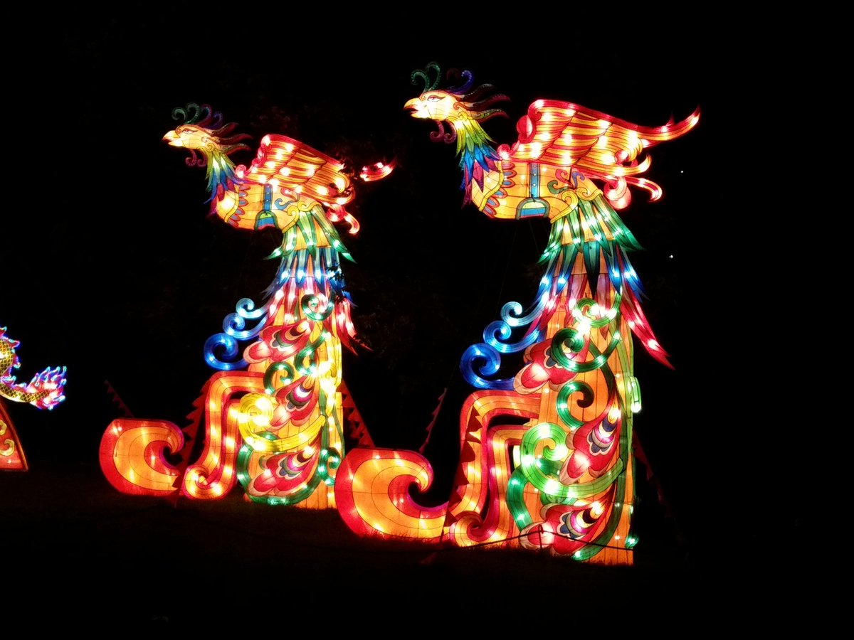 AshleeMcLaugh10's tweet photo. #AsianLantern Festival #wildaboutCLE @clemetzoo https://t.co/O0449gVlNT