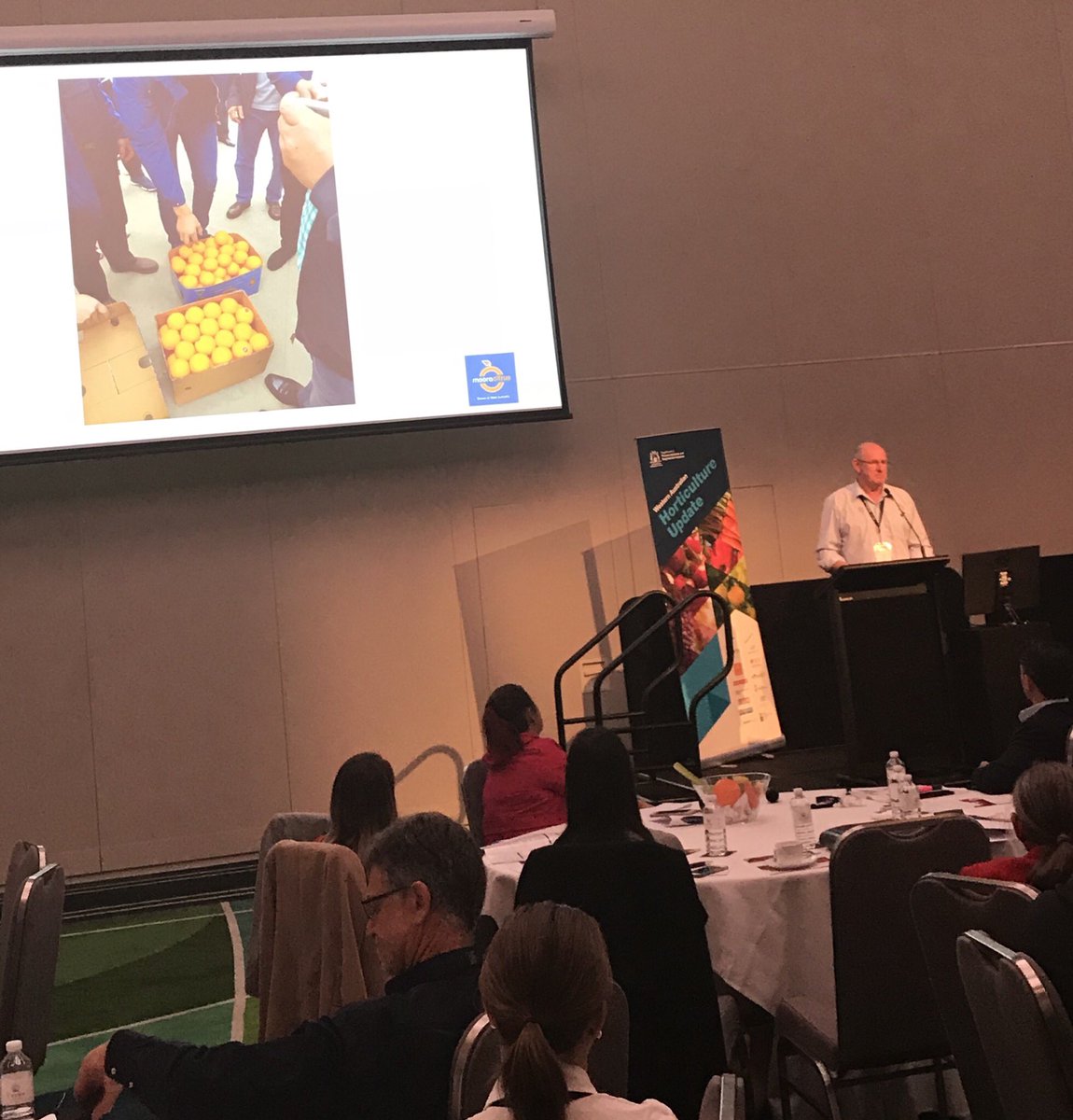 Deborah Boxall (@deeboxall) on Twitter photo Shane Kay from <a href="/MooraCitrus/">Moora Citrus</a> outlines their export market journey. Lessons learned & shared for others sectors benefit at the WA Horticulture Update <a href="/DPIRDhort/">DPIRD - Horticulture WA</a> Shane Kay from <a href="/MooraCitrus/">Moora Citrus</a> outlines their export market journey. Lessons learned & shared for others sectors benefit at the WA Horticulture Update <a href="/DPIRDhort/">DPIRD - Horticulture WA</a>