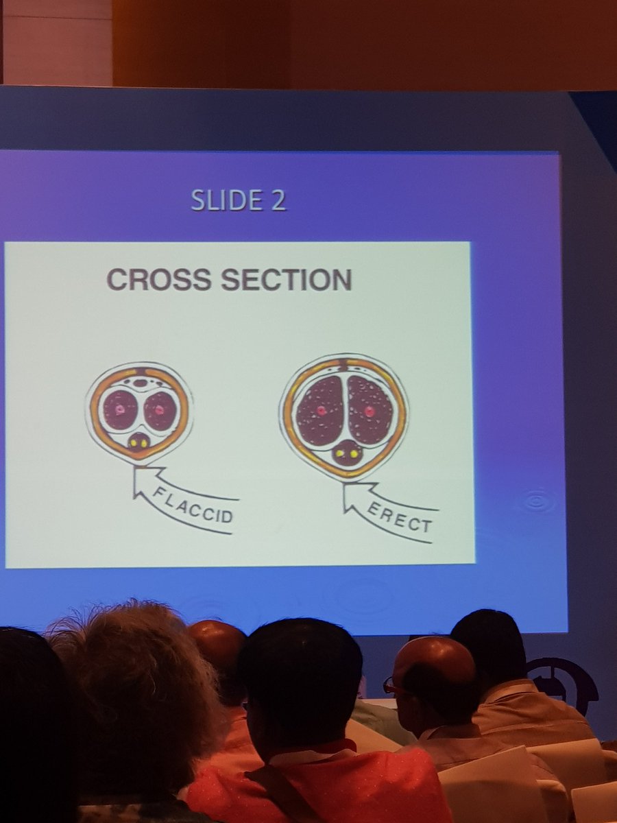 Dealing with men's sexual concerns without medication.  Is it a cross section or alien?  #sexualhealth #aofs #was