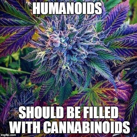 HHempography's tweet photo. I better get started....

#stoned #cannabis #VideoGameLessonsLearned https://t.co/dbG9D6F4pf