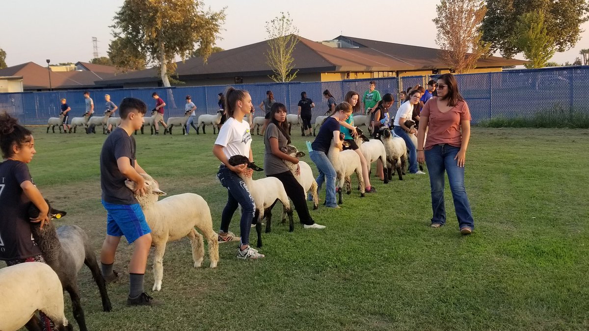 Highland FFA tweet media