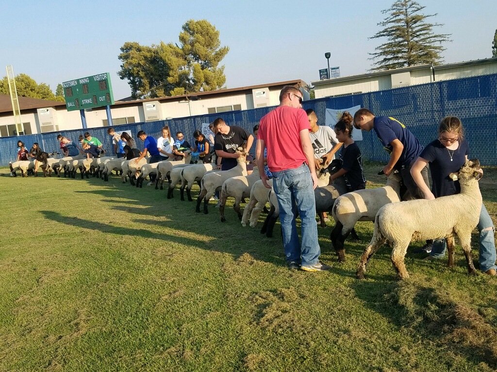Highland FFA tweet media