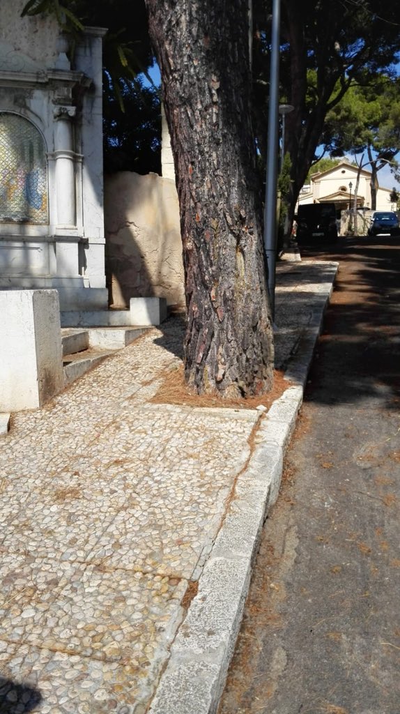 DistrictePonent's tweet photo. Campaña de eliminación de hierbas en el barrio de la Bonanova. Recuerda si tienes algún problema en tu barrio del @PonentPalma escríbenos a —&amp; Districte.Ponent@palma.es https://t.co/xMlpo8BdYH