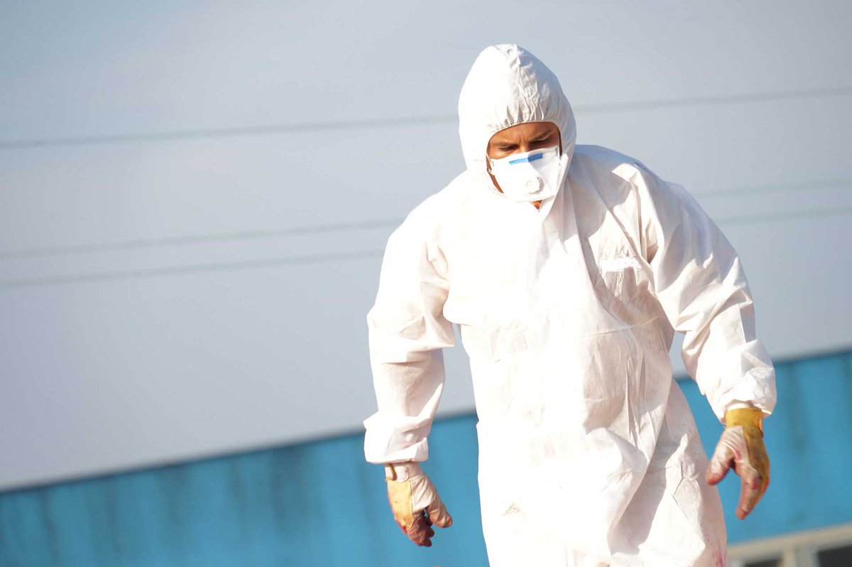 david_clover's tweet image. The Importance of using a Licenced Asbestos Removal Company ow.ly/Uwjt30etzI4