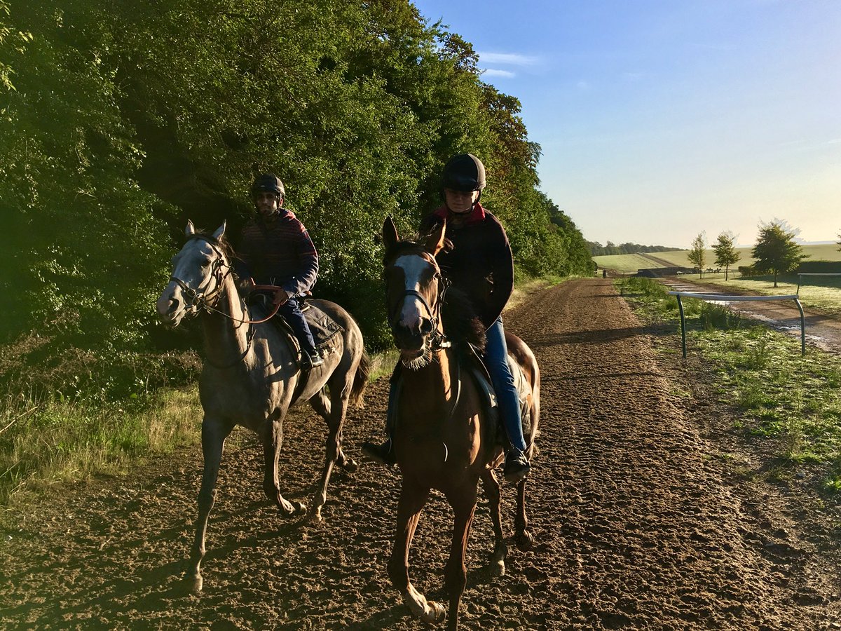 JohnWathenBerry's tweet photo. Beautiful conditions on Long Hill @NewmarketGallop this morning #LaParisienne #WhiteValiant https://t.co/DiFO85ZccW