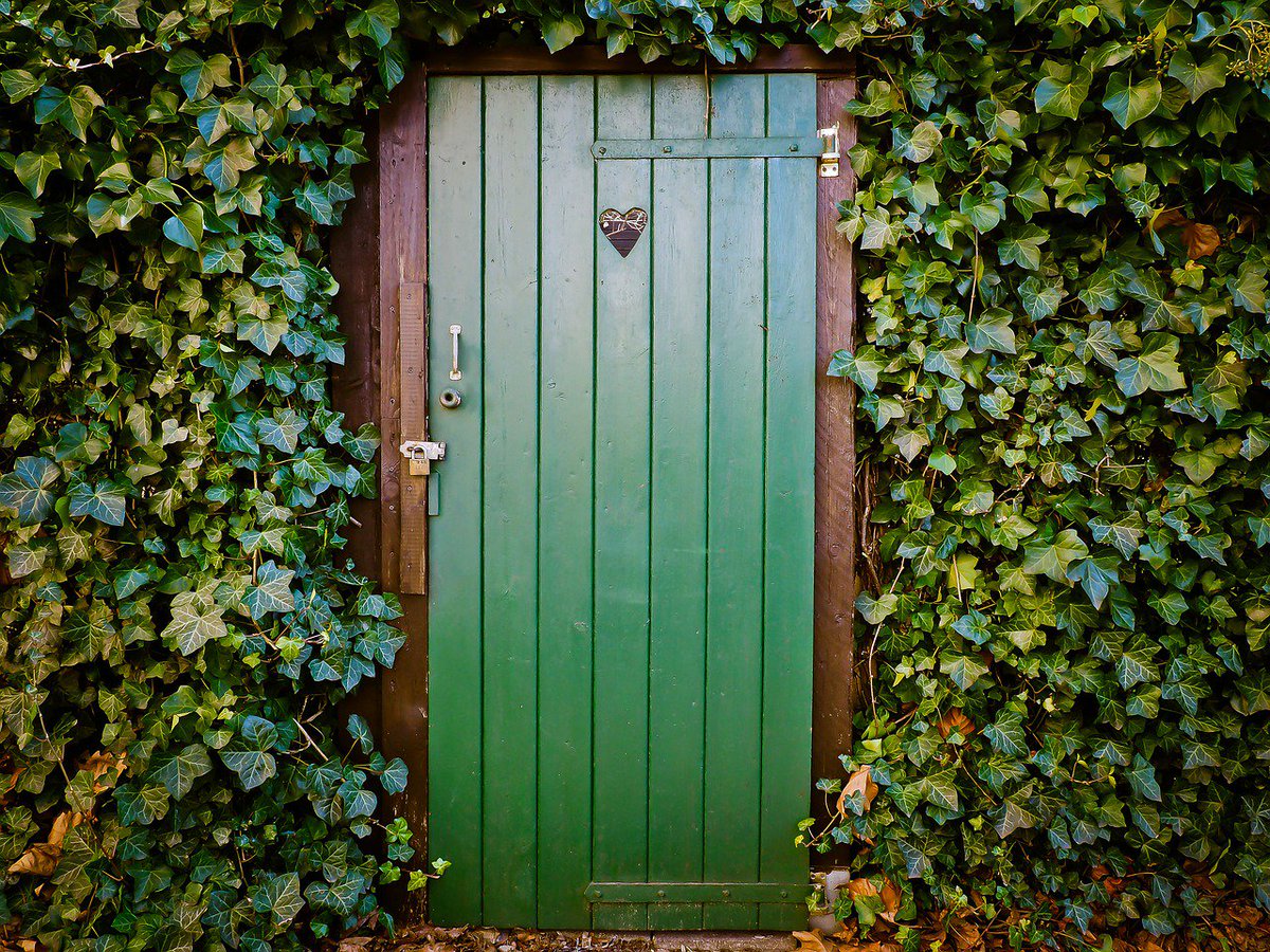 Fio_Naaaa's tweet photo. ´Old ways won’t open new doors’ https://t.co/Ucf7YHunzE