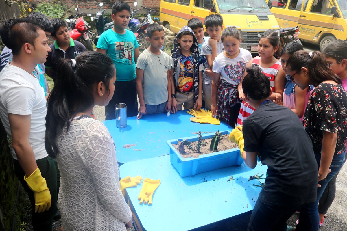 Grade 6 conducted their entry point by constructing Miniature Cacti Garden observing the special characteristics possessed by succulent plants like cacti to survive and grow in one of the most extreme environment present on earth i.e desert under the IPC unit "Extreme Survivors".