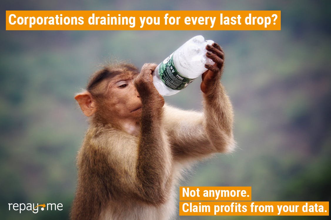 REME_Coin's tweet photo. YOU can profit from your data. Don't let corporations make the big bucks without getting your fair share! Register on https://t.co/SARrUgFejC today! 💰💰💰#data #cashback #marketplace #repayme #shoppingrevolution #REMECoin #cryptoshopping #userdata #datasensitivity https://t.co/2F3ZLDfnqm