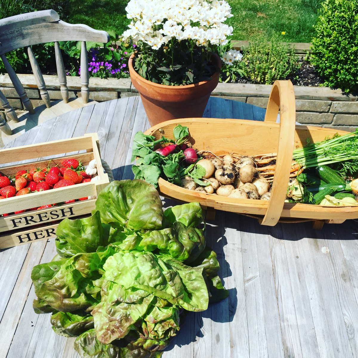 thedon108's tweet photo. 18 June 2018
My second growing year and I have a more varied selection of veg. Was very pleased with this, quite early considering the spring wet weather. Nice to eat a whole meal of your own veg. Just keeps getting better! 😁
#earlies #lettuce #courgette #carrot #radish #strawbe https://t.co/YjAPZAYSTA
