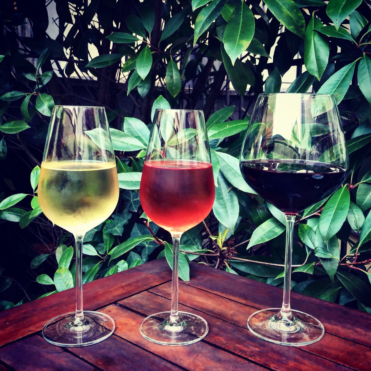 wineonwayzataba's tweet photo. Life is about balance.  Wines from along the Rhine river do not disappoint.  #ilovewine #winelover #winetasting https://t.co/5uSgBz0fuv