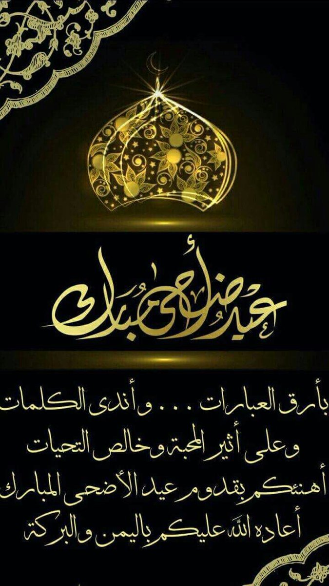 Amany Fathy (@amanysalem20) on Twitter photo 