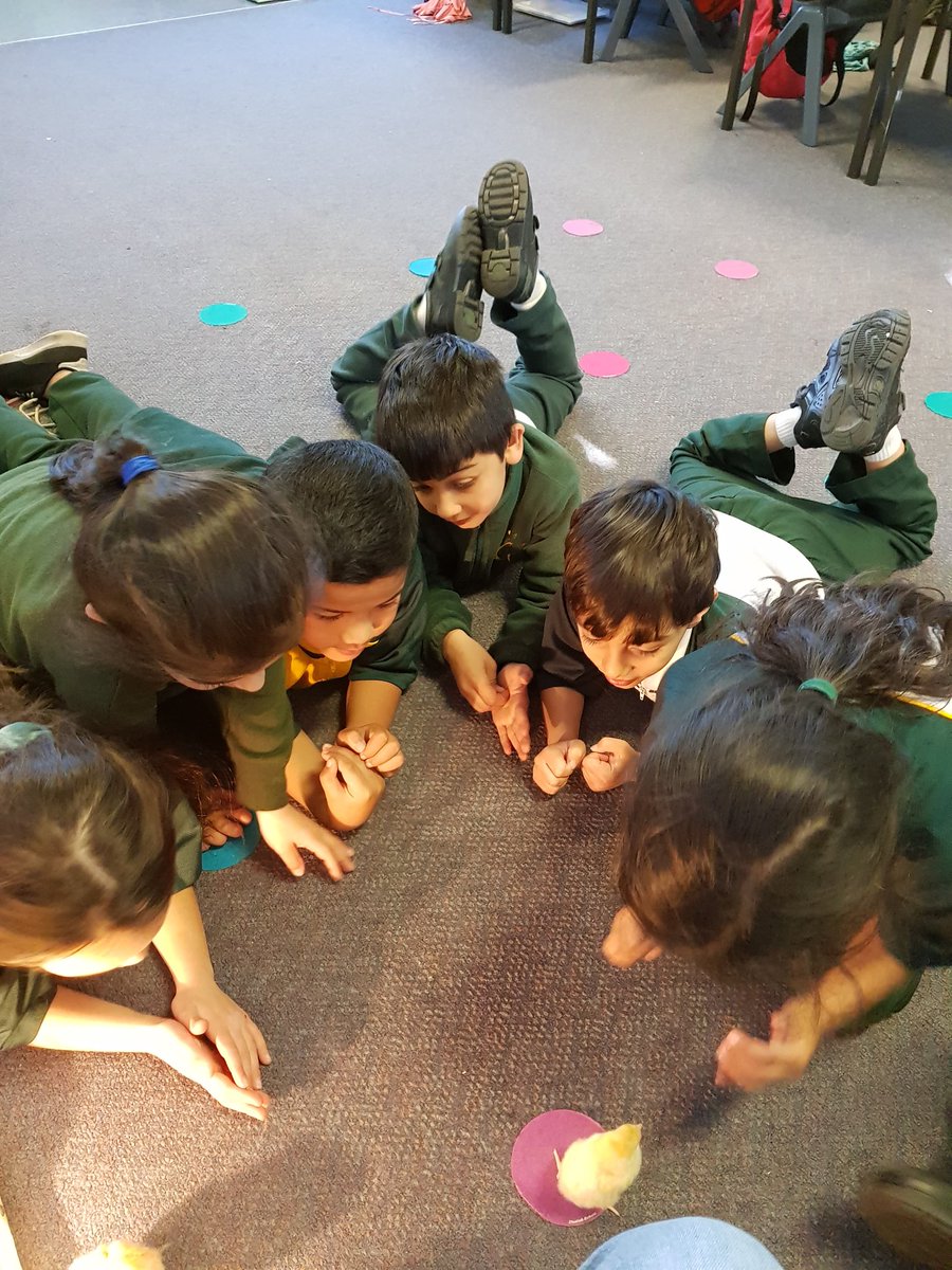 Miss Henley tweet media