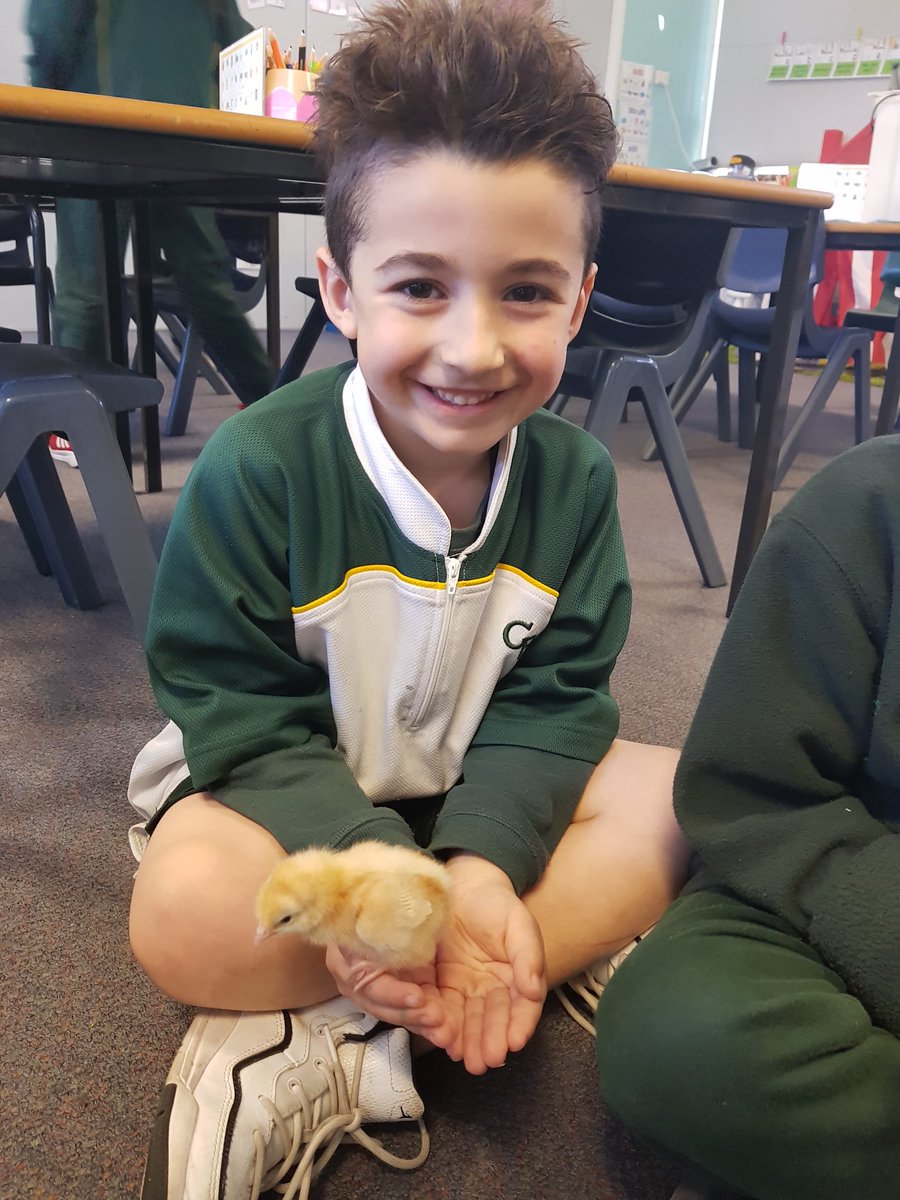 Miss Henley tweet media