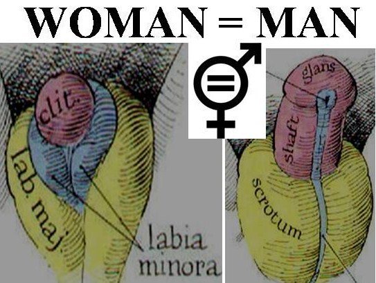 VincenzoPuppo's tweet photo. #donne #uomini insieme #rivoluzione #prevenzioneprimaria #violenze #sexeducation #orgasm #clitoris #penis #vulva #vagina #sexscience #SexResearch #sex_science #sexmed #sexstudy New #Sexology Project https://t.co/1sFcbLmA8M FreePdf https://t.co/sG6HpiTa1l https://t.co/wj3wp9YDns https://t.co/HaPh4s91Gt