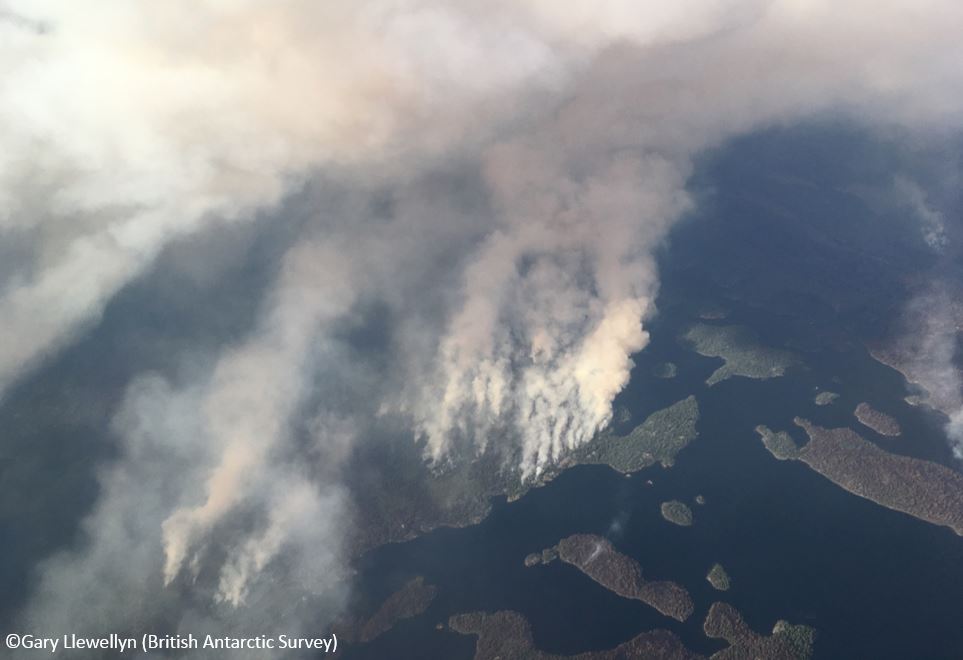 British Antarctic Survey 🐧 tweet media