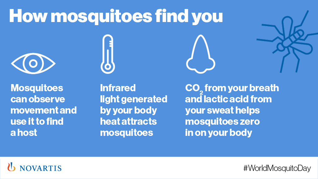 Novartis's tweet photo. How do mosquitoes find you? Can they see infrared light or track your movement? #WorldMosquitoDay #MalariaFuture https://t.co/u8FXULO5JJ