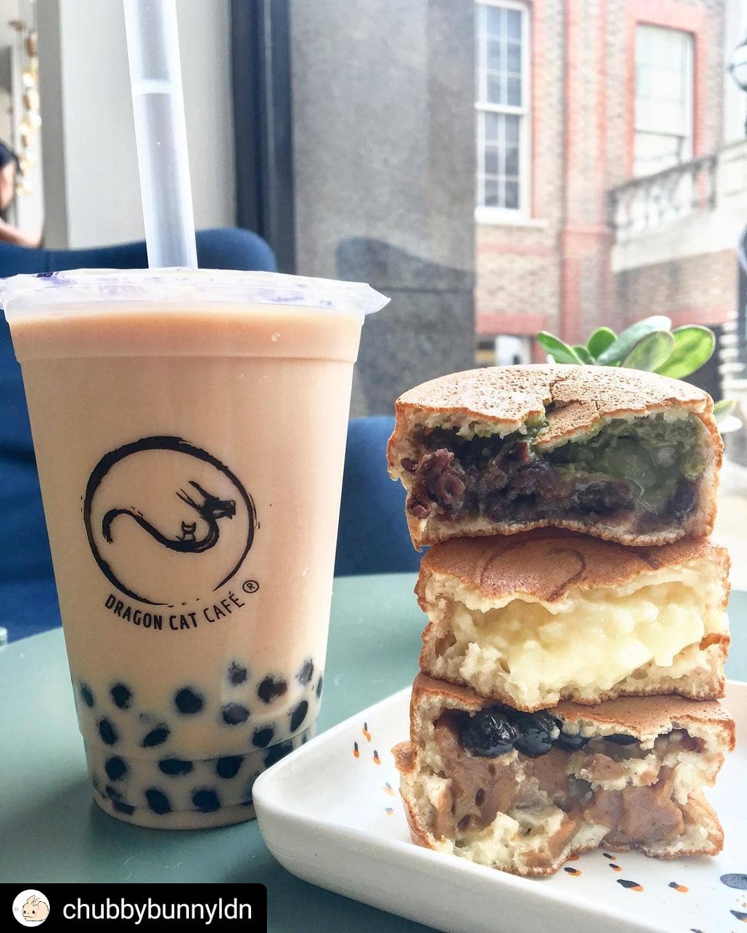  Dragon  Cat  Caf  on Twitter FeatureFriday wicked shot of 