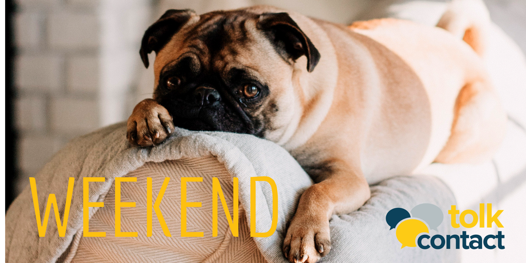 domein opvoeder site Tolkcontact on Twitter: "Het is alweer bijna weekend. Tijd voor leuke  dingen en ontspanning. Wat ga jij dit weekend doen? #weekend #ontspannen  #tolkcontact #tijdvoorjezelf https://t.co/l5l4iw0wiC" / Twitter