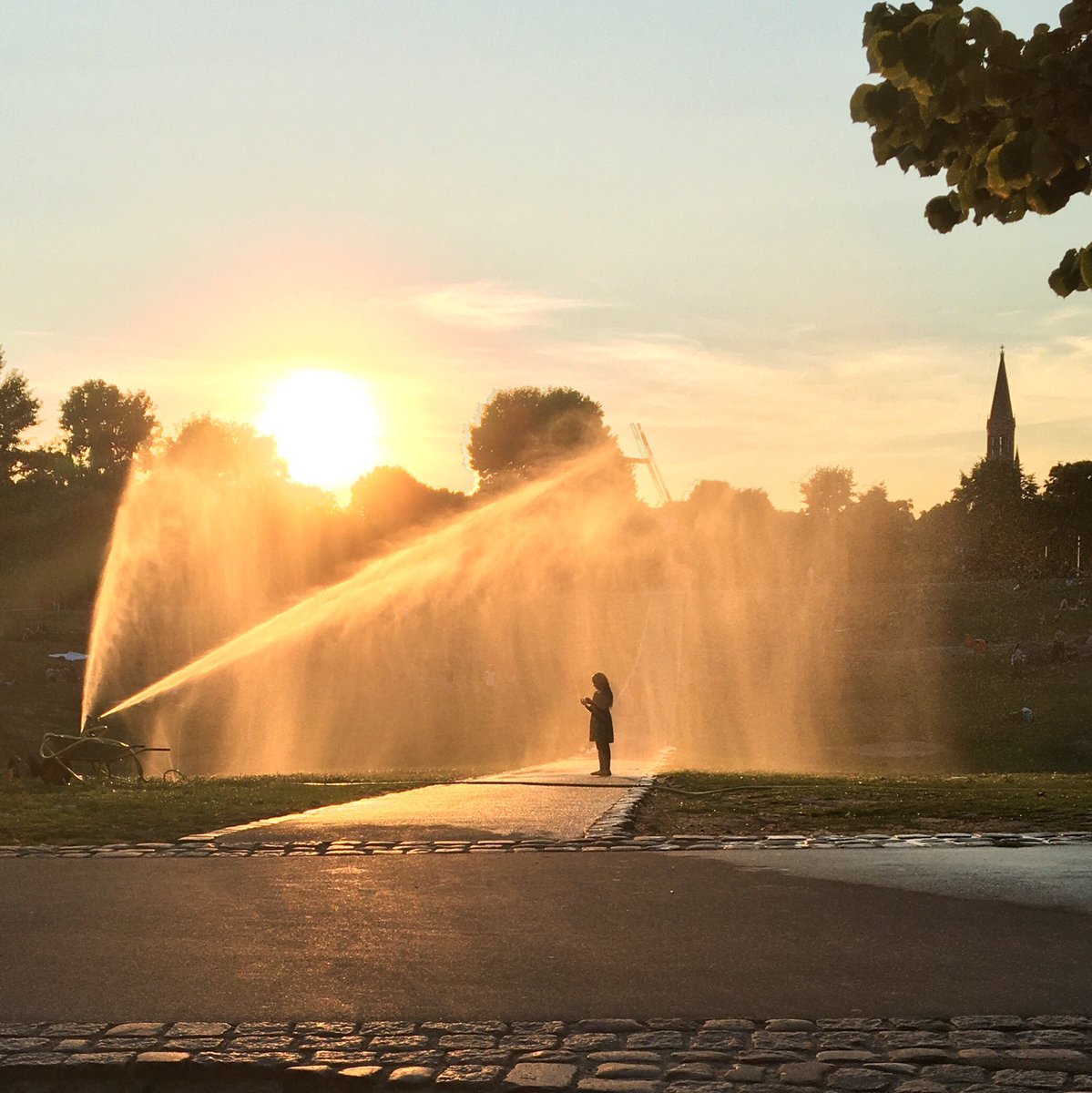 €€€€€€€€€€ X