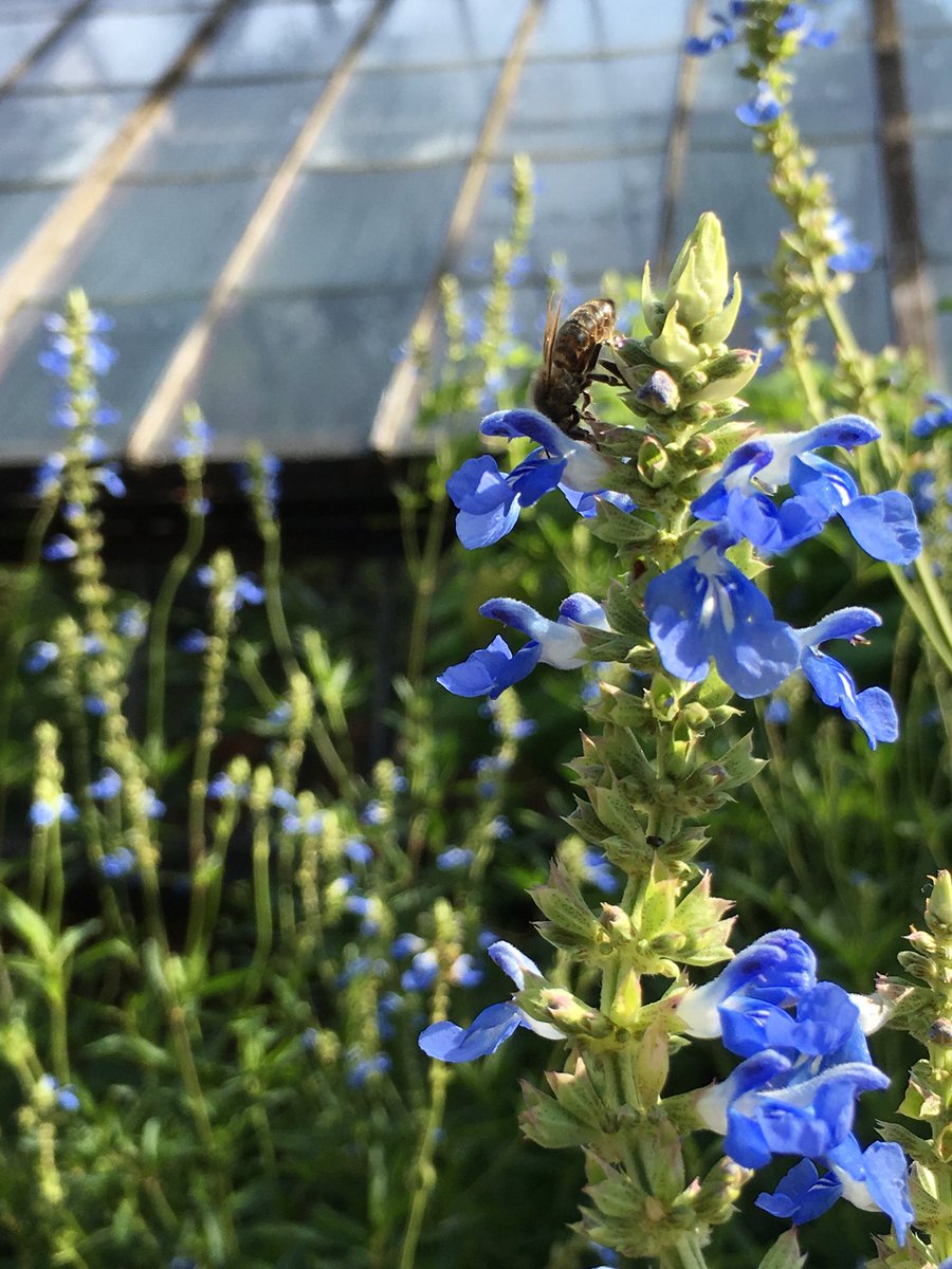 Oh what a beautiful mornin’ 🎵