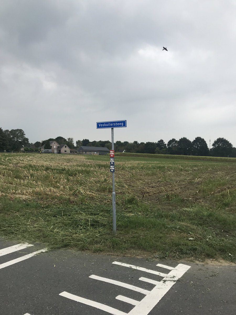 DannyvandenBeld's tweet photo. Dit heb ik nog nooit eerder mee gemaakt, het mais in #Wezep al in de eerste helft van augustus geoogst, in verband met de #droogte.... https://t.co/cEwEsPubPf