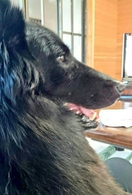 膝の上のtwitterイラスト検索結果 古い順