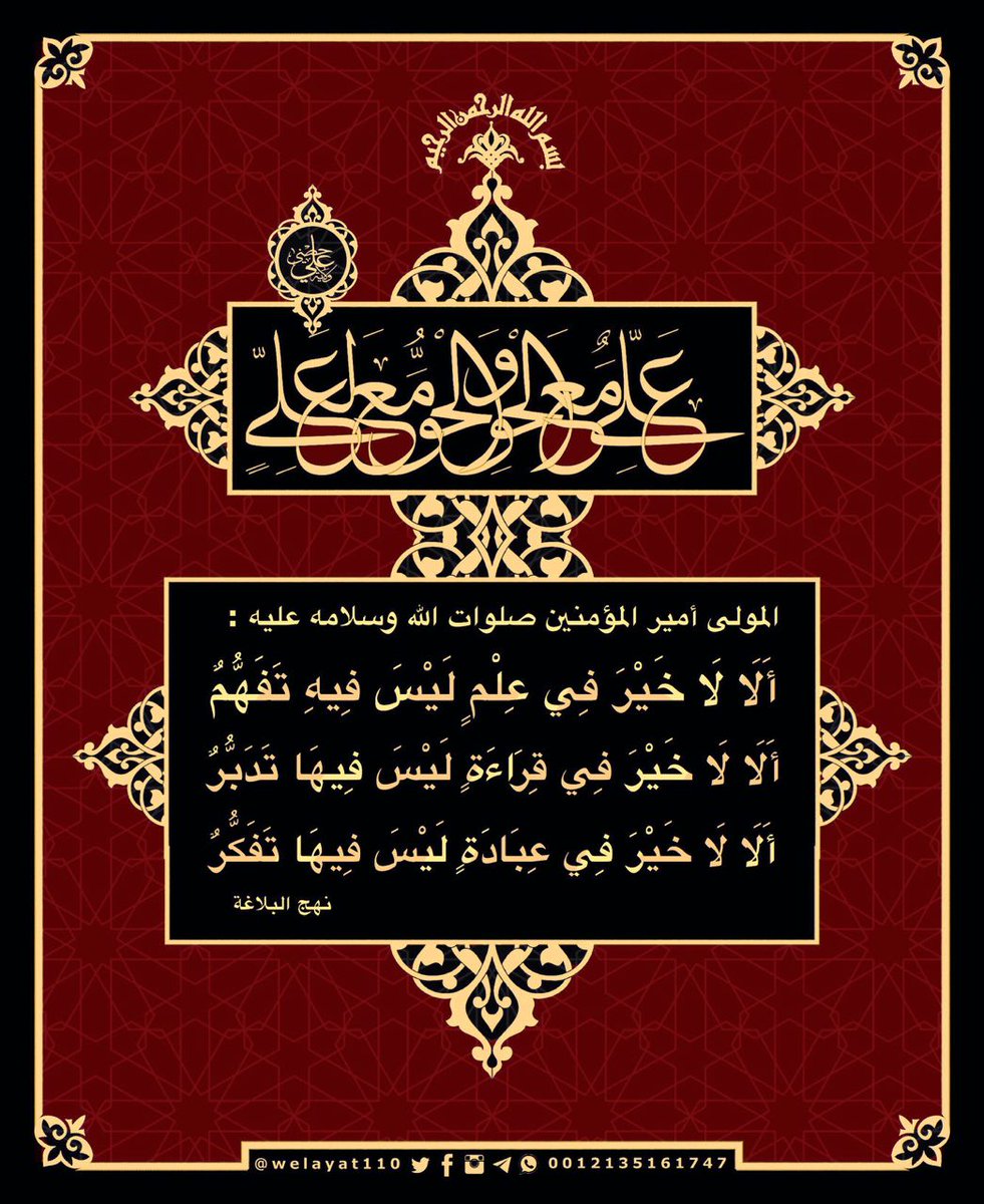 ولاية علي tweet media