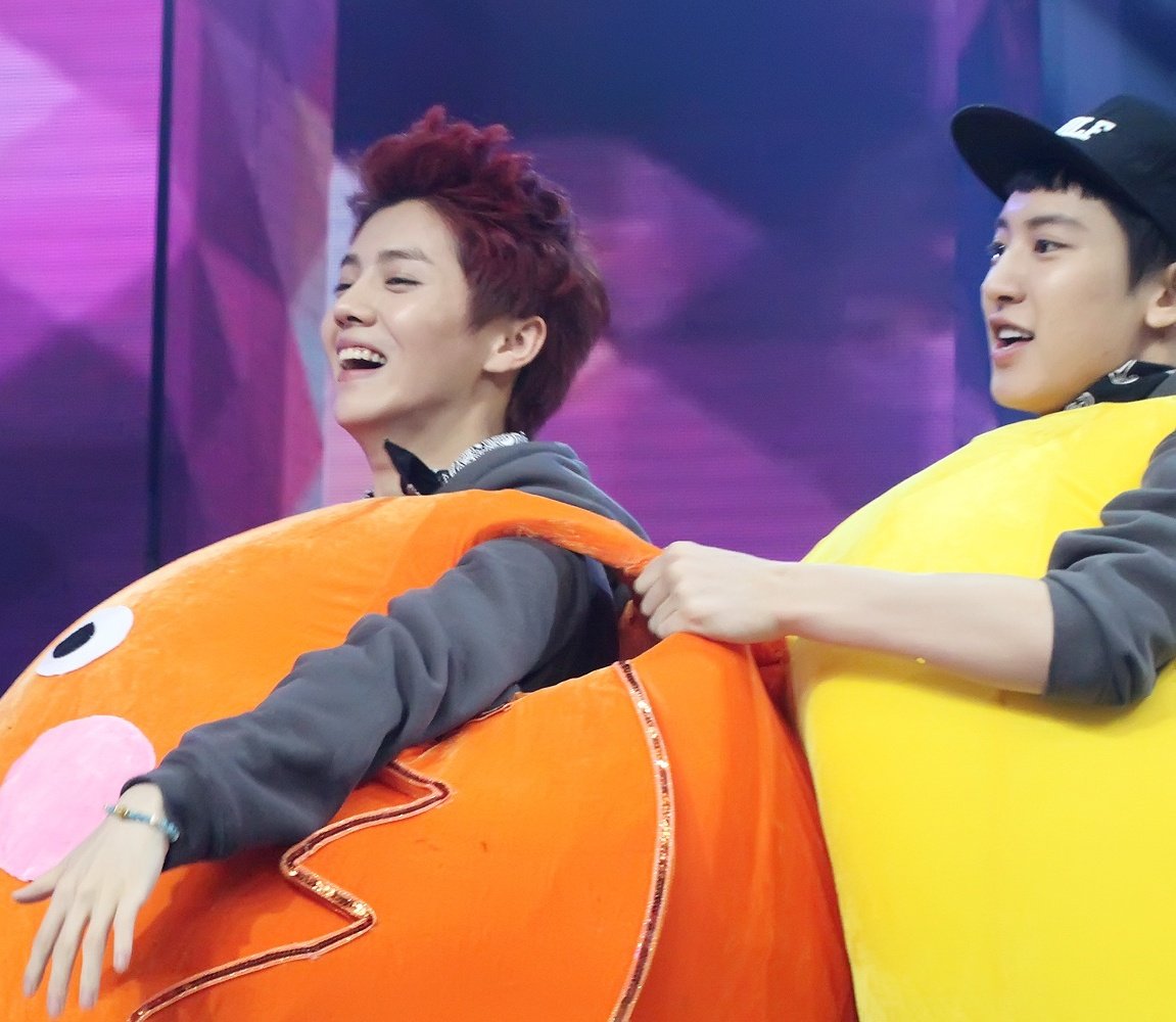 chanluachive's tweet photo. Chicken love 🐥🐥💛 https://t.co/Y5GEGgxZHb