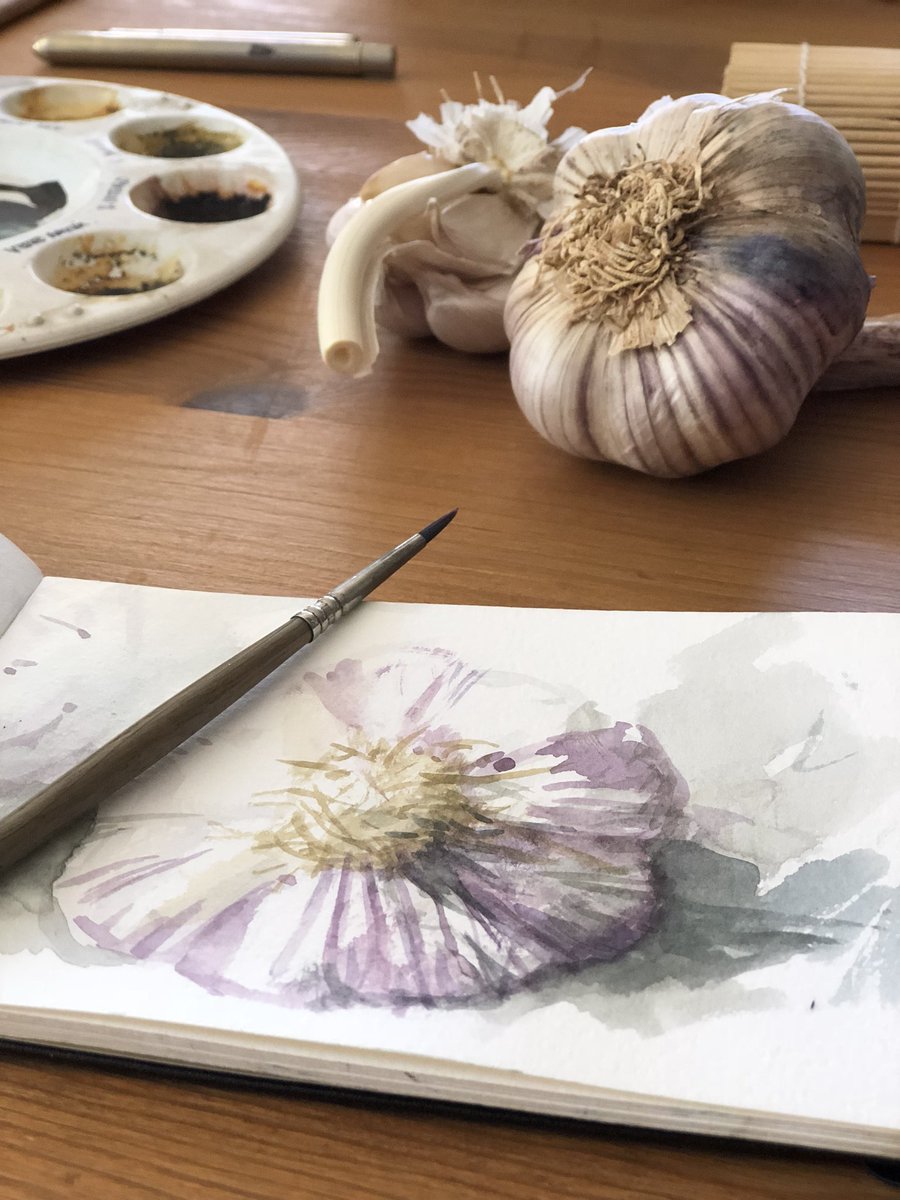Apuntes del natural #ajos #watercolor #acuarela #picture