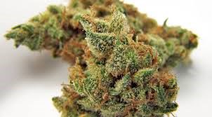 Mayor wants better funding and less privatization when it comes to legal pot: bit.ly/2MCe7fu #ottnews https://t.co/mRKXr2J2U0