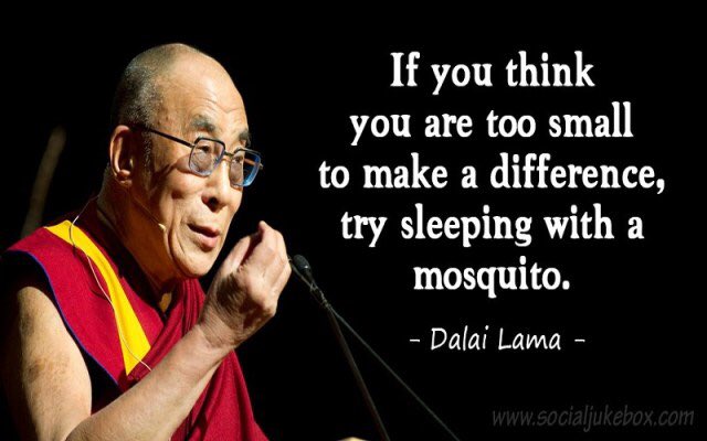 Small nonprofits - we got this 💪🙌!

#NationalNonprofitDay #MakeADifference