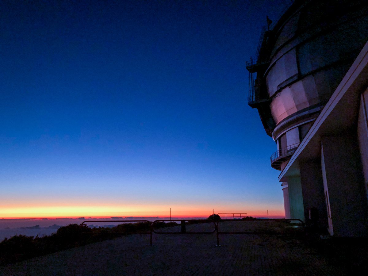 Grantecan tweet media