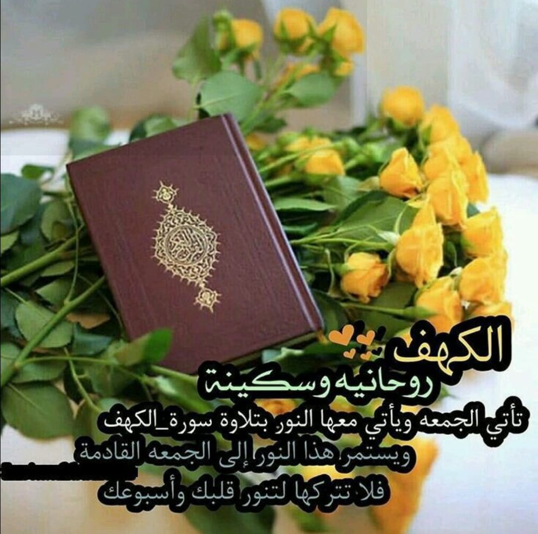 #رَفــْد 🕊 Rafd tweet media