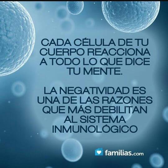 Pasion_PNL's tweet photo. Una experiencia mental positiva nos facilita no sólo el éxito, sino también la salud y el equilibrio interno. 
#PNL #PNLCaracas #HerramientaPoderosa #Coaching #Bienestar https://t.co/Q0oCaLyIrT
