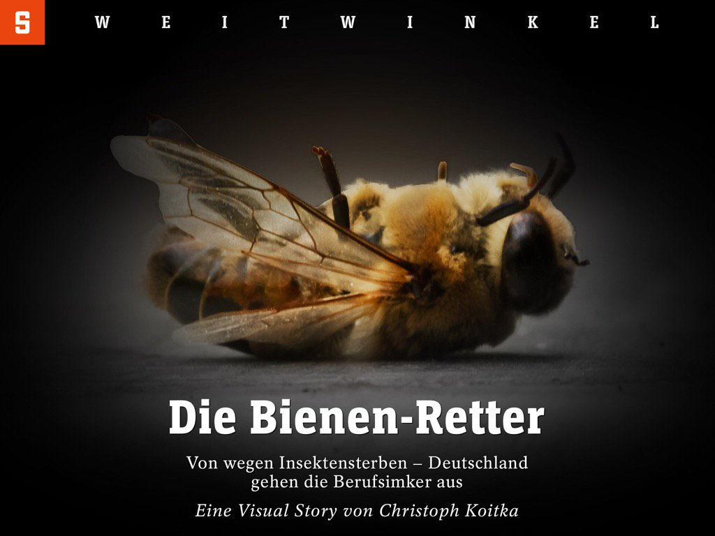 Bienensterben? Imkermangel! Unsere #VisualStory gleich im dig. @DerSPIEGEL