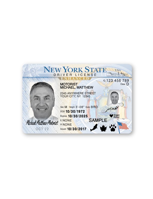 dmv renew license ny