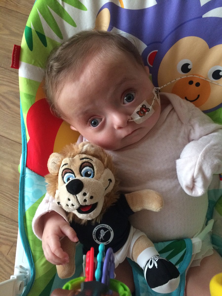 Kerry3011's tweet photo. Brought this @zampathelion when my niece was born itโs now one of her favourite toys #iwillgetherdowntheden #likeauntielikeniece #block32 @MillwallFC https://t.co/rfv30VQxRh