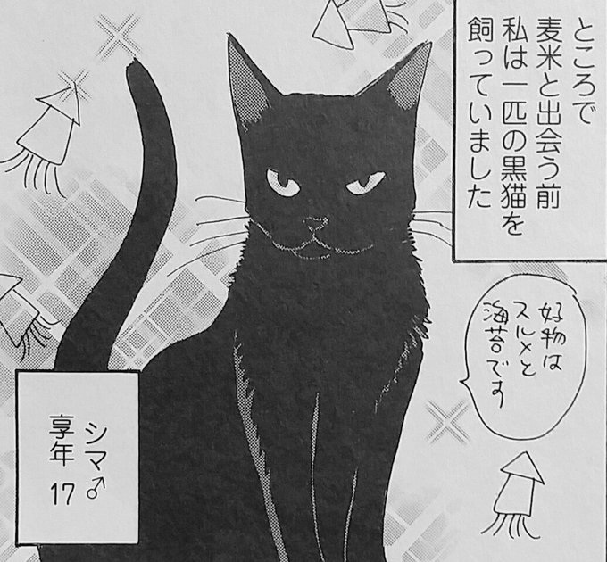 黒猫感謝の日 を含むマンガ一覧 3ページ ツイコミ 仮