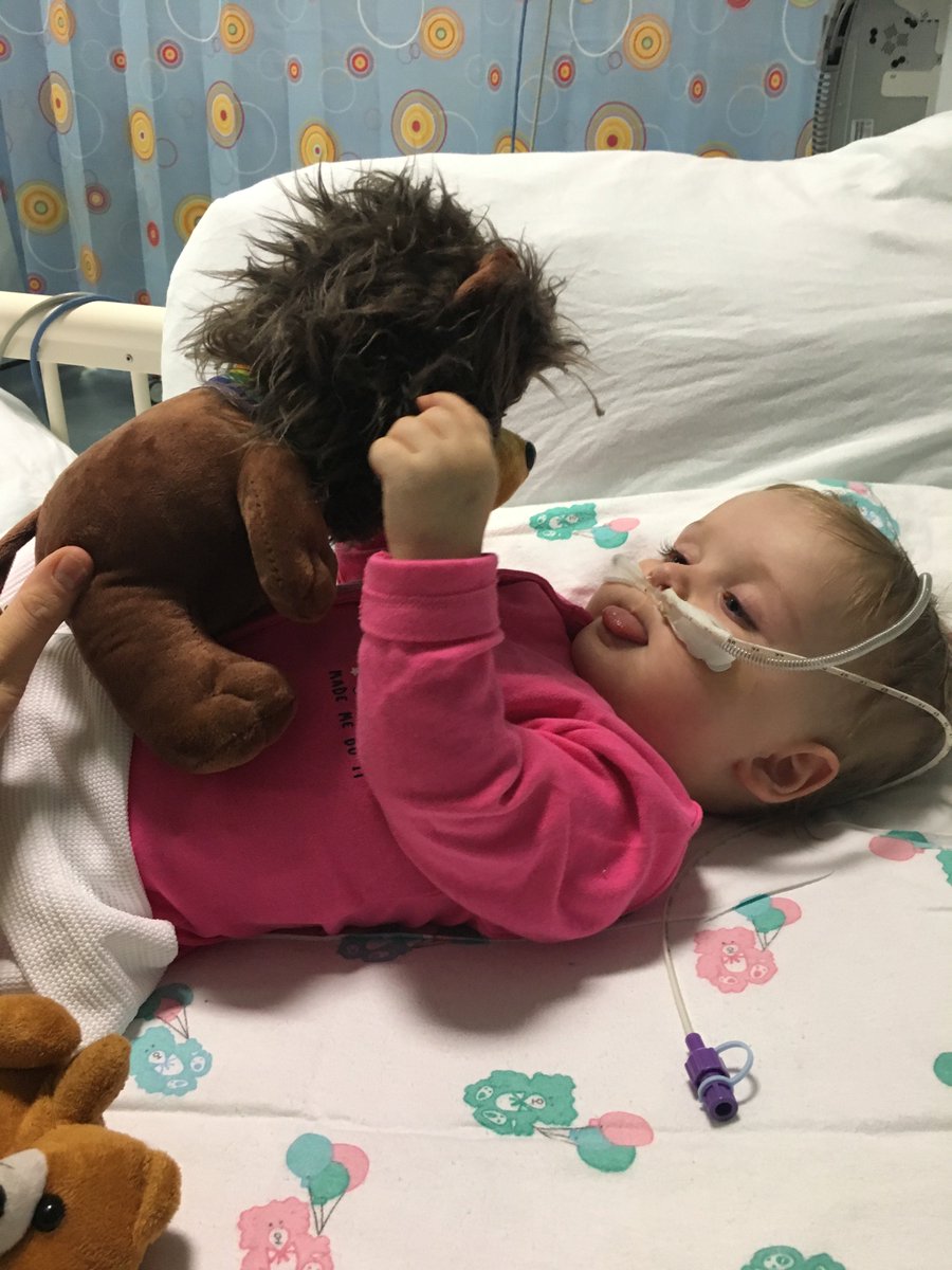 jennakhills's tweet photo. Being in PICU doesn't mean you cant play as normal, like this wee one. She's also showing penguins and lions can be friends too! ๐ฅ๐ฃ๐ง#MoVE #patientcentredcare #PedsICU #earlyactivity #ageappropriate #fridayfeeling @ZakBraveheart @PICU_Scot @nhsggcrhcphysio @TheAPCP https://t.co/Sy3IeSqr8H
