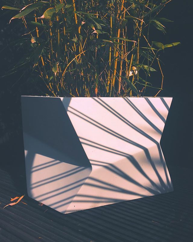 mrbradevans's tweet photo. Shadowplay #shadowplay #shadowhunters #bamboo #bambooplanter #gardendesign #citygarden #midcenturygarden #midcenturymodern #deckporn #deckdesign #deck #jungalowstyle #jungalow  #tropicalgarden #smallgarden #okdesign #acapulcochair #blackandgreen https://t.co/obRaOjxEZy https://t.co/RY6LC7jBgr