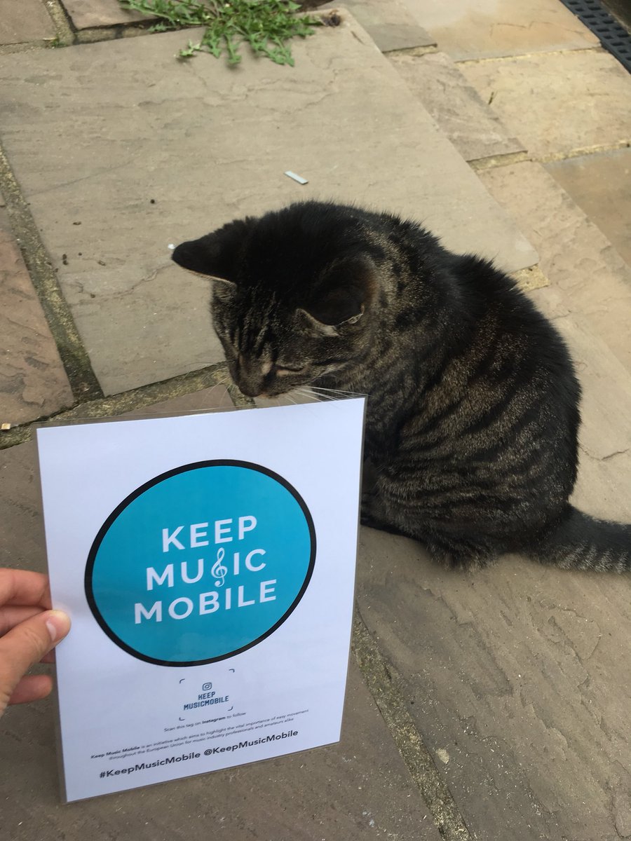 Even Chaley wants to help #KeepMusicMobile! #brexit #livemusic