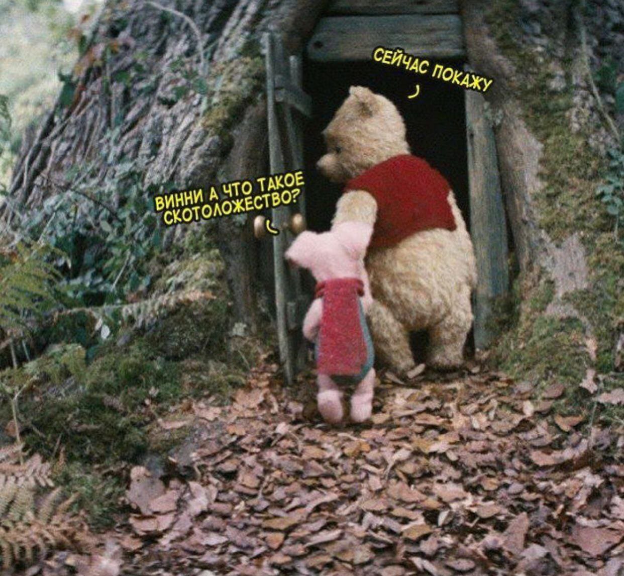 DkzIO0tXgAAGqYq?format=jpg&name=large