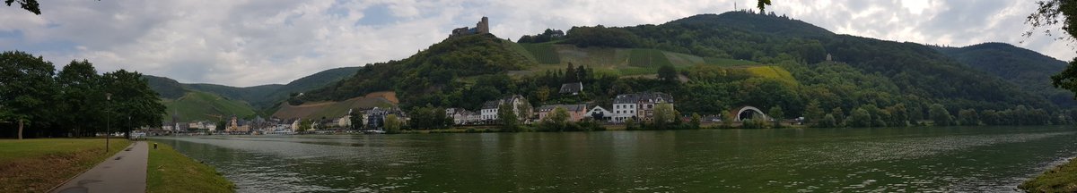FrankH181172's tweet photo. #Mosel
Neidisch?😜 https://t.co/fsjJMN76gM