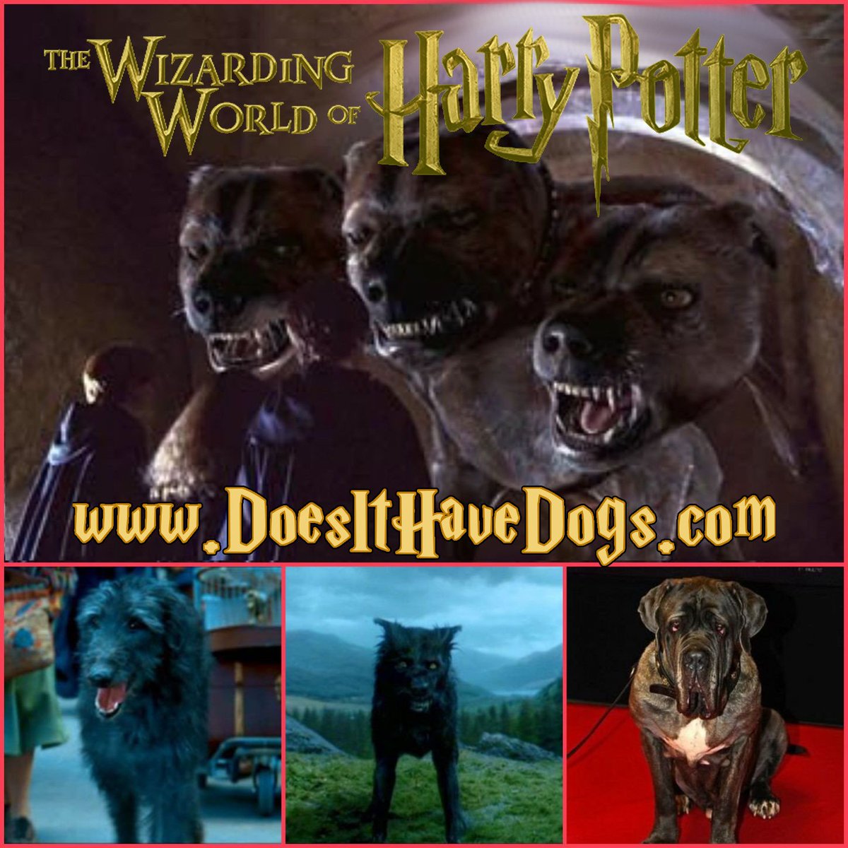 DoesItHaveDogs's tweet image. In honor of our 50th post, we reviewed the entire Harry Potter movie series!
DoesItHaveDogs.com
#DoesItHaveDogs #MovieReviews #DogsofTwitter #DogsLife #Dogs #Reviews #Movies #DIHDMovieReviews #DIHD