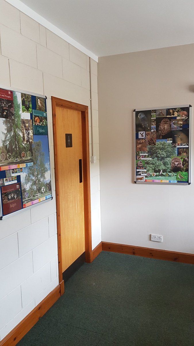 john_gkeeping's tweet photo. Wildlife display boards looking good in clubhouse foyer @rothesgolfclub keep an eye out for what you can see whilst playing #timefor9 @Ecology1BIGGA @EnvironmentGolf @golfenvawards #wildchallenge #morethanjustgolf https://t.co/igPxkgSvGT