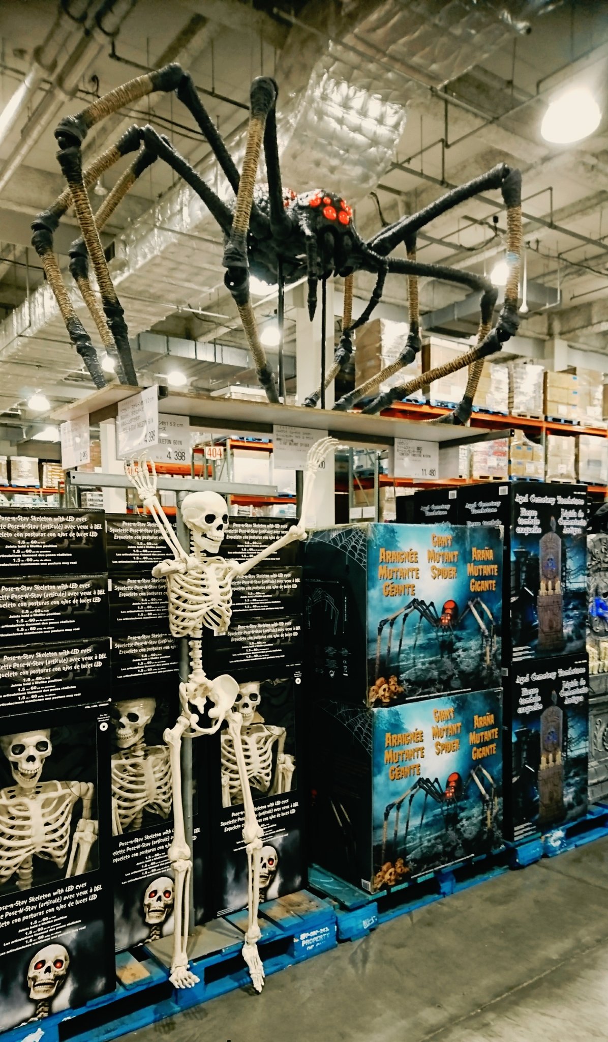 コストコ ガイコツ 骸骨 ハロウィン 新品、未使用