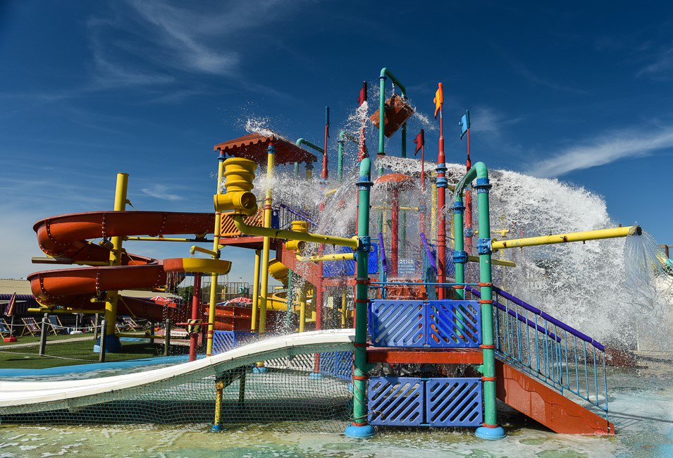 Day Out With The Kids tweet media