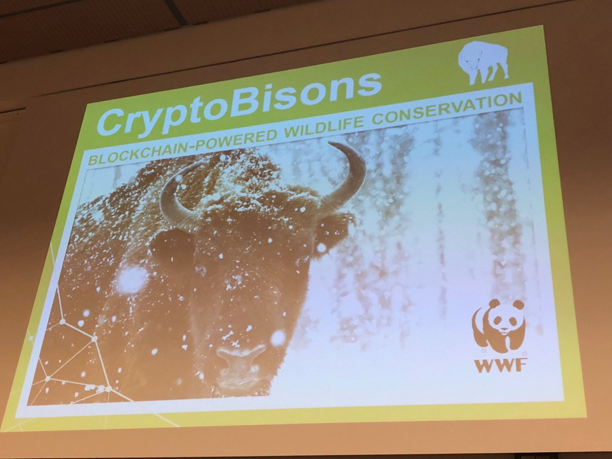 dgwbirch's tweet photo. #blockchaincph18 Tired: marmots. Wired: bisons. https://t.co/wtCwtVJxbS